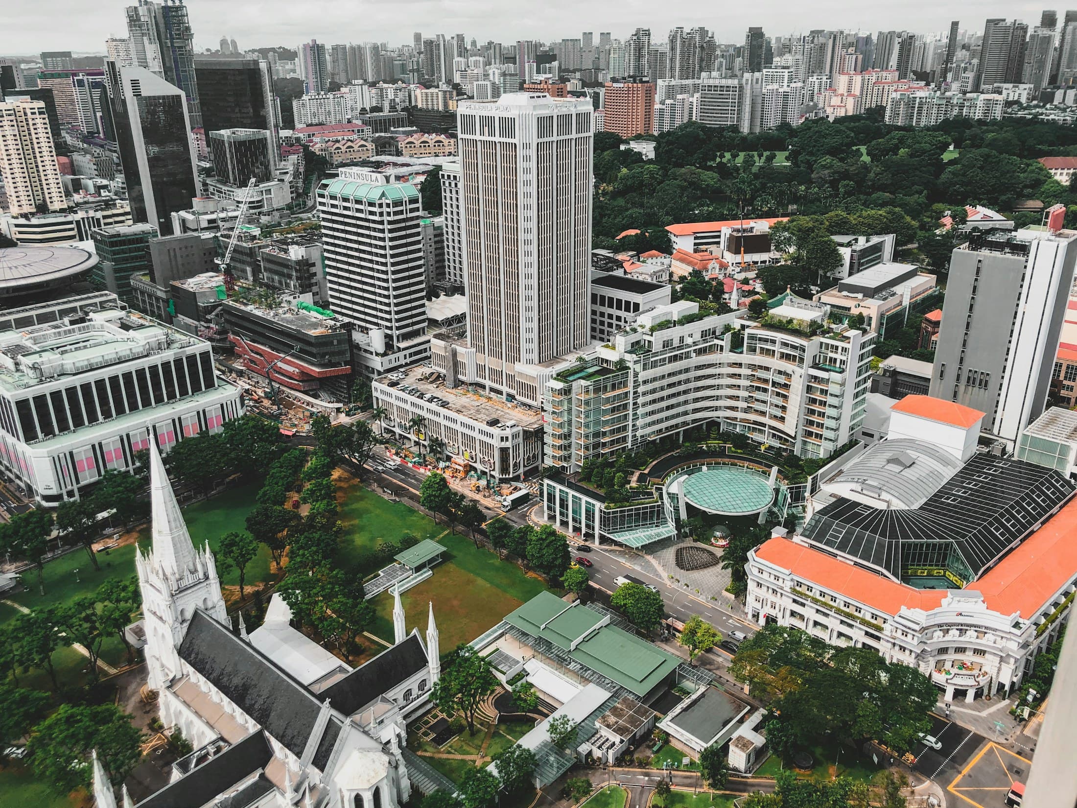 Green urban infrastructure and modern city buildings