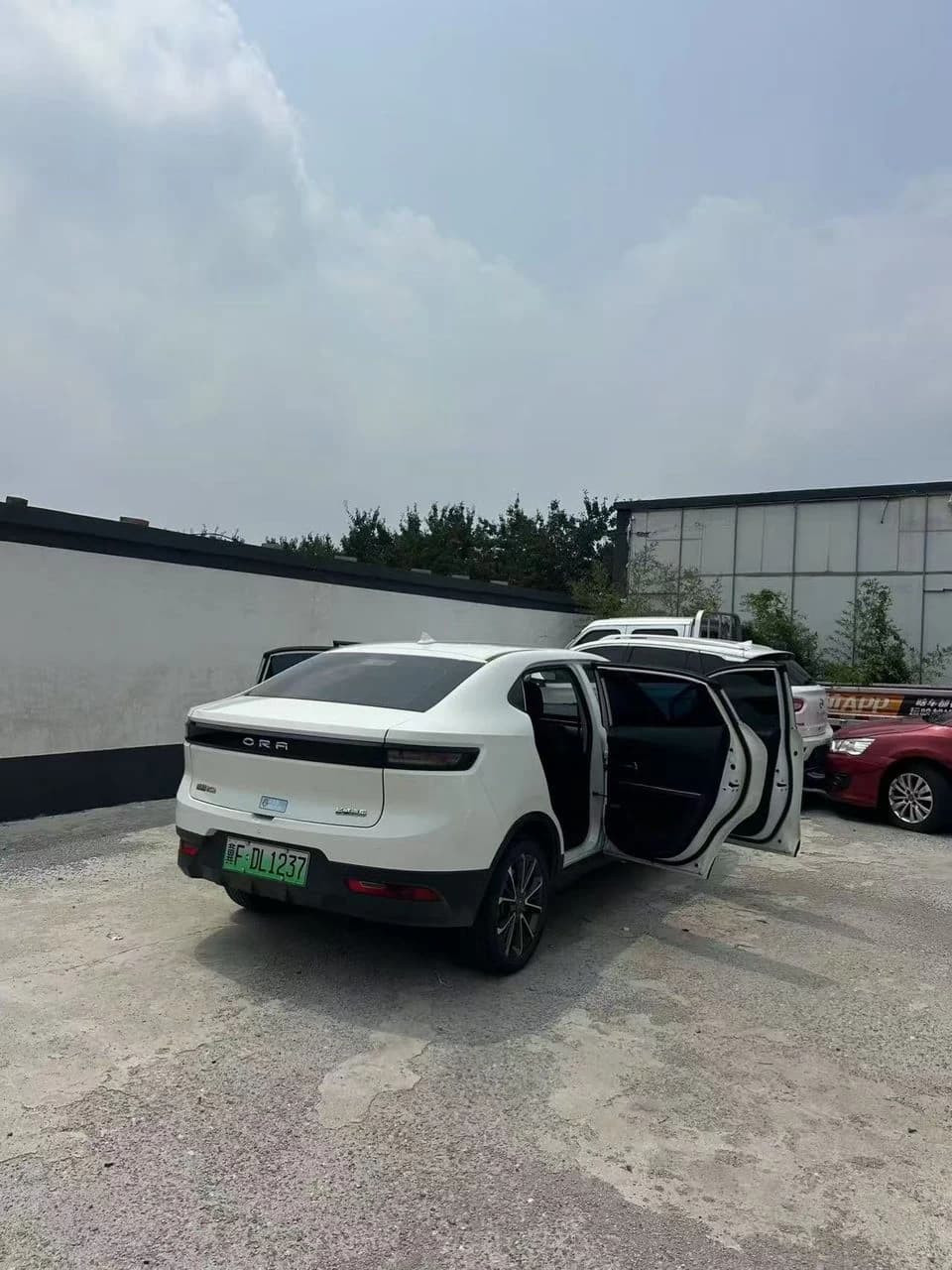 Electric mobility assessment